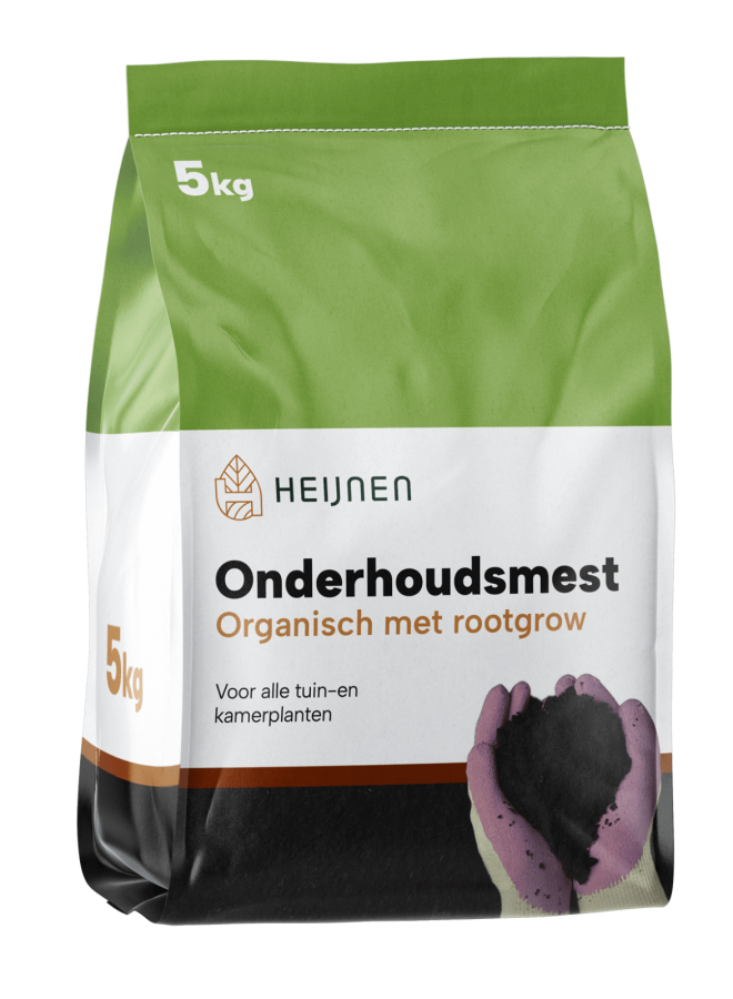 Haagplanten Bestellen: Online Of In De Winkel