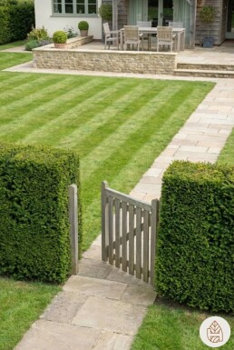 Zuiltaxus Taxus Baccata Fastigiata Robusta 60-80 cm