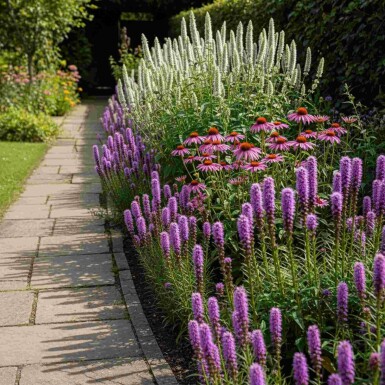 Nazomer Nectar Pakket