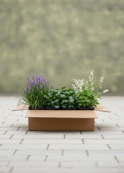 EasyGreen Mix