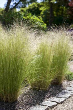 Natuurlijke Elegantie Mix