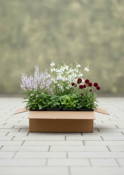 Whispering Flowers