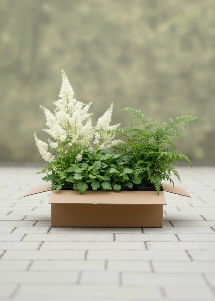 Forest Charm Mix