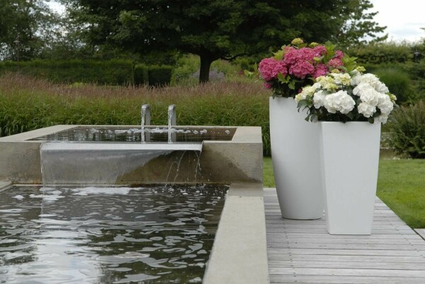 Hortensia Hydrangea macrophylla 'Forever & Ever® White' Pot