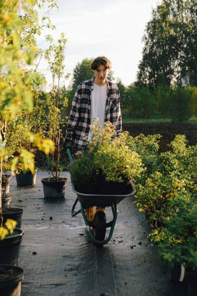 Het is bijna lente. Welke haagplanten kies jij?