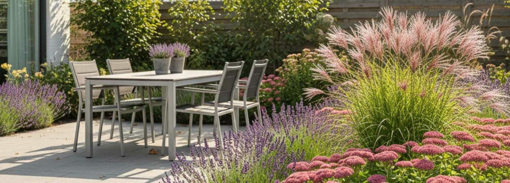 Onderhoudsarme planten die je nu kunt planten