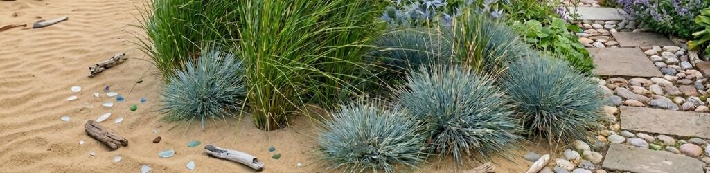 Zo richt u een maritieme tuin in image