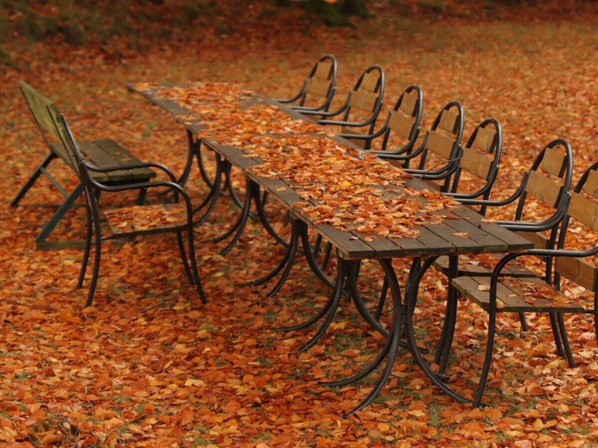 Zo gebruik je herfstblad slim als natuurlijke bescherming voor je tuin image