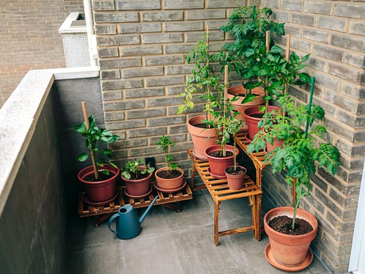 Zo bescherm je je tuinplanten tegen vorst zonder plastic of fleece image