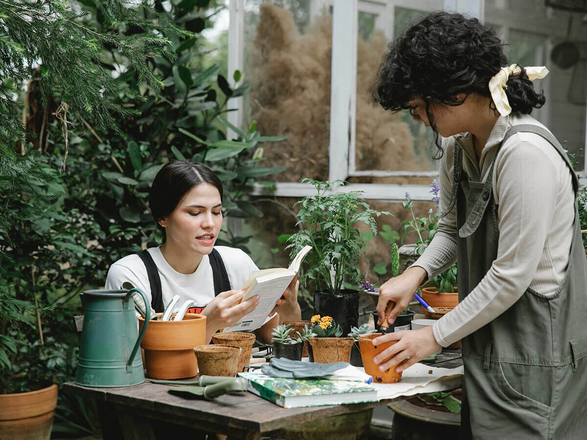 Thema's & tuininspiratie