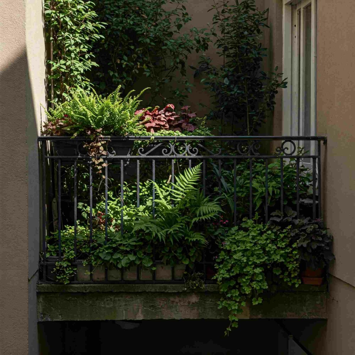 Kleine ruimte, groot effect: zo richt je een groen balkon in image