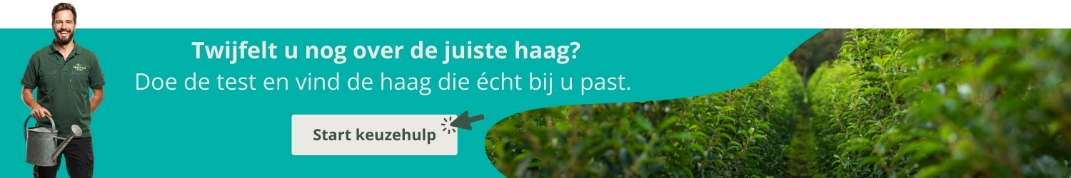 Keuzehulp