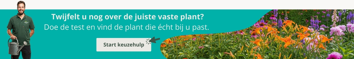 keuzehulp